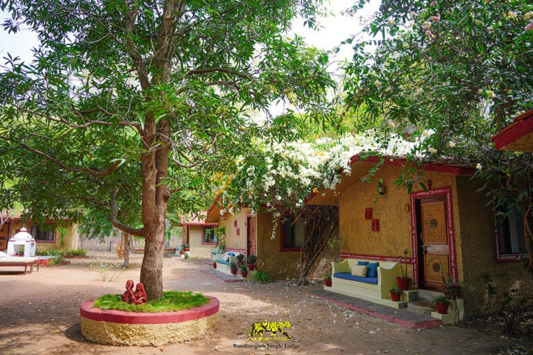 Bandhavgarh Jungle Lodge