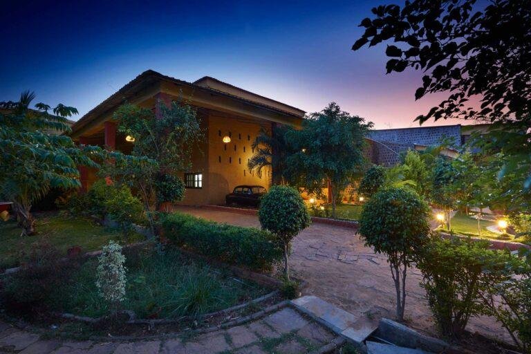 JUNGLE HOME PENCH