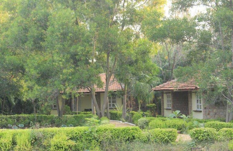Tigers Trail Bandhavgarh